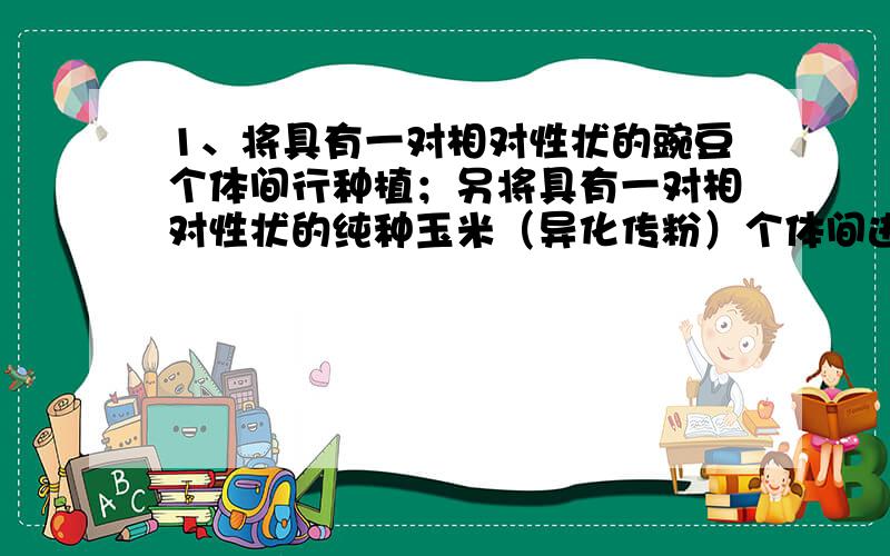 1、将具有一对相对性状的豌豆个体间行种植；另将具有一对相对性状的纯种玉米（异化传粉）个体间进行种植；具有隐性性状的一行植株所结的F1是回答（ )是显性个体,（ ）是隐性 2、将水