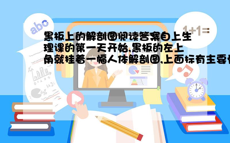 黑板上的解剖图阅读答案自上生理课的第一天开始,黑板的左上角就挂着一幅人体解剖图,上面标有主要骨骼肌肉的名称和部位.整整半个学期,那幅解剖（pōu pāo）图一直挂在那里,不过老师从