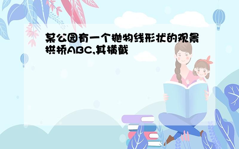 某公园有一个抛物线形状的观景拱桥ABC,其横截