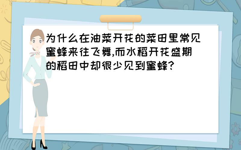 为什么在油菜开花的菜田里常见蜜蜂来往飞舞,而水稻开花盛期的稻田中却很少见到蜜蜂? 