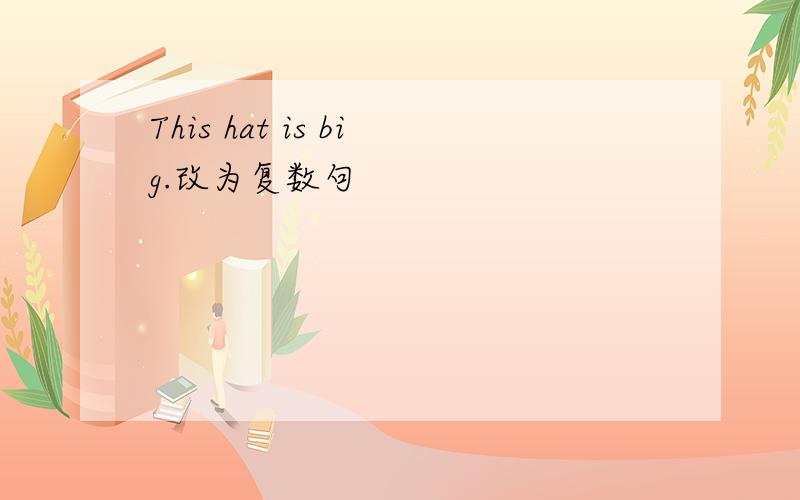 This hat is big.改为复数句