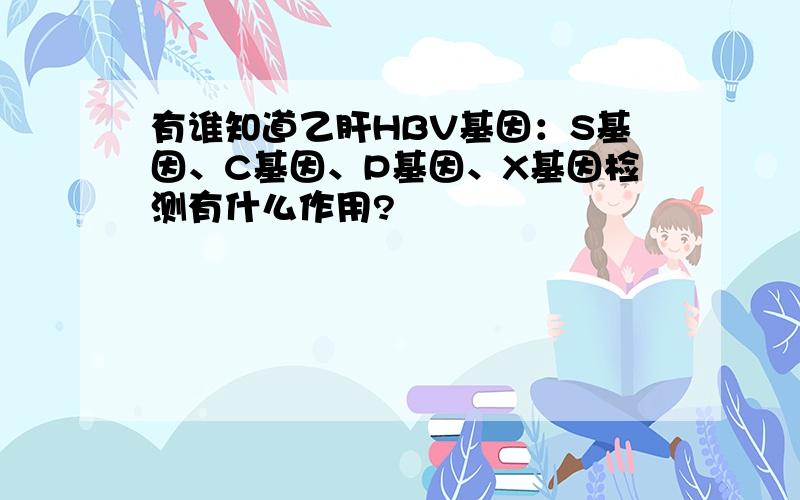 有谁知道乙肝HBV基因：S基因、C基因、P基因、X基因检测有什么作用?