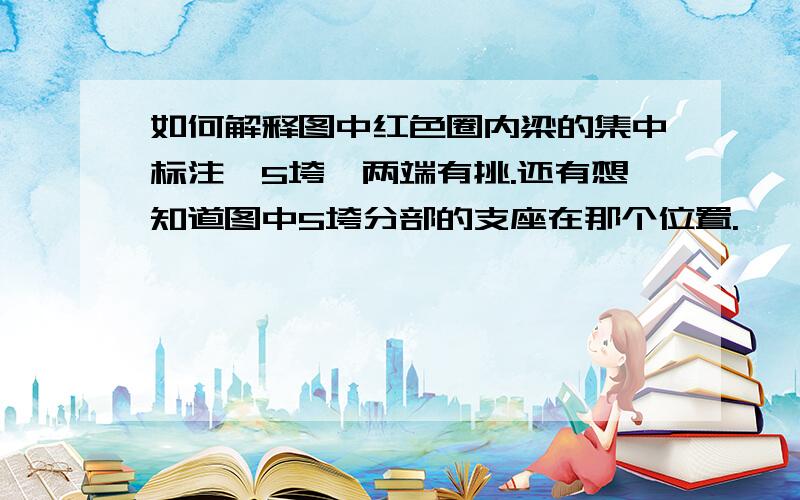 如何解释图中红色圈内梁的集中标注,5垮,两端有挑.还有想知道图中5垮分部的支座在那个位置.