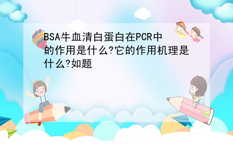 BSA牛血清白蛋白在PCR中的作用是什么?它的作用机理是什么?如题