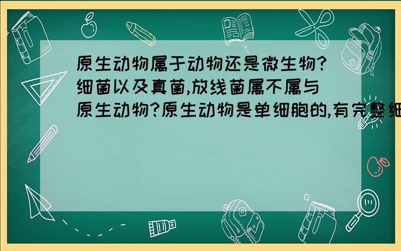 原生动物属于动物还是微生物?细菌以及真菌,放线菌属不属与原生动物?原生动物是单细胞的,有完整细胞核的,细菌也是单细胞的但是没有完整细胞核的,真菌有完整的细胞核,也是单细胞,放线