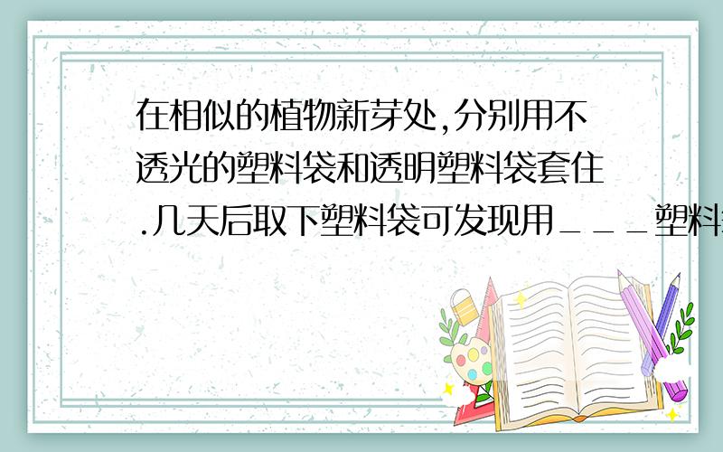 在相似的植物新芽处,分别用不透光的塑料袋和透明塑料袋套住.几天后取下塑料袋可发现用___塑料袋套着的新芽长成的枝条,叶片不能由黄转绿,这说明___是影响叶片由黄转绿的重要条件