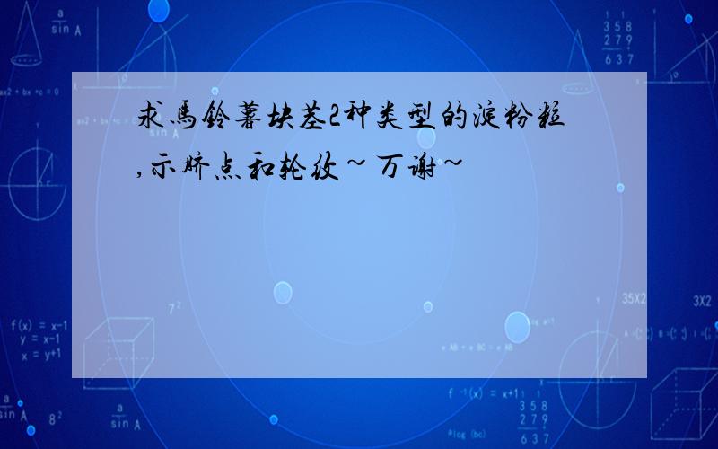 求马铃薯块茎2种类型的淀粉粒,示脐点和轮纹~万谢~