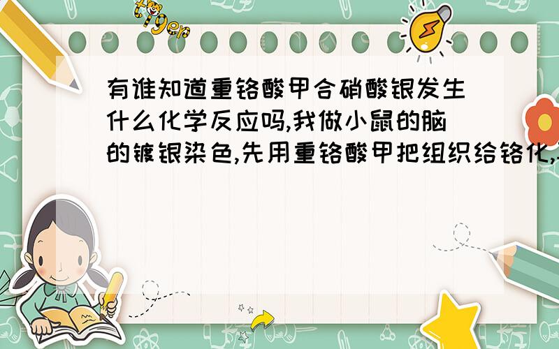 有谁知道重铬酸甲合硝酸银发生什么化学反应吗,我做小鼠的脑的镀银染色,先用重铬酸甲把组织给铬化,再用硝酸银染色.有没有人知道铬化的原理是什么,或者告诉我重铬酸甲遇到硝酸银发生