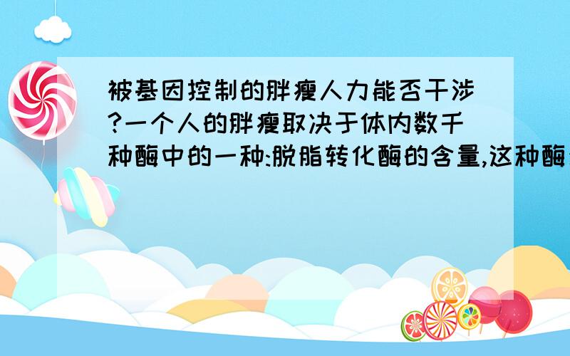 被基因控制的胖瘦人力能否干涉?一个人的胖瘦取决于体内数千种酶中的一种:脱脂转化酶的含量,这种酶少了就转化不掉脂肪,所以胖人“喝凉水都长肉”.想减肥只要增加这种酶就可以了,酶是