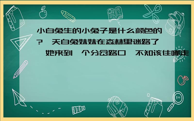 小白兔生的小兔子是什么颜色的?一天白兔妹妹在森林里迷路了,她来到一个分岔路口,不知该往哪走,刚巧灰兔哥哥在旁边,她就问灰兔哥哥该走哪条路,灰兔哥哥说：“你让我高兴啊高兴我就告