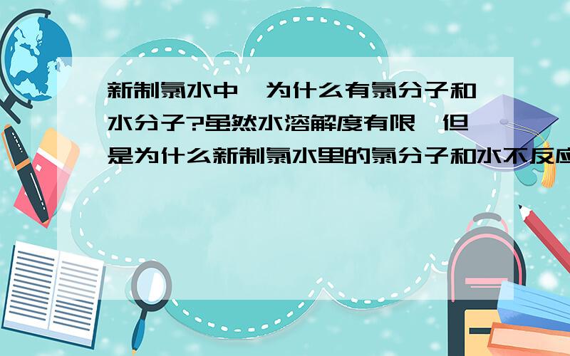 新制氯水中,为什么有氯分子和水分子?虽然水溶解度有限,但是为什么新制氯水里的氯分子和水不反应,应该是一有就反应的吧?还有就是新制氯水中的 OH-是怎么回事?