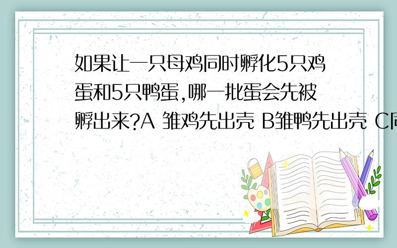 如果让一只母鸡同时孵化5只鸡蛋和5只鸭蛋,哪一批蛋会先被孵出来?A 雏鸡先出壳 B雏鸭先出壳 C同时出壳D 母鸡不会孵鸭蛋