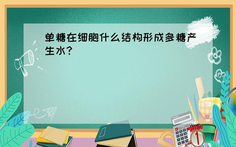 单糖在细胞什么结构形成多糖产生水?