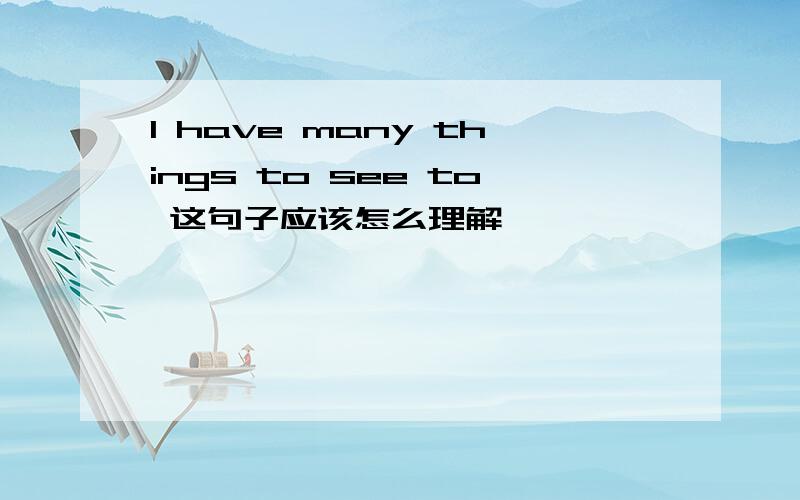 I have many things to see to 这句子应该怎么理解