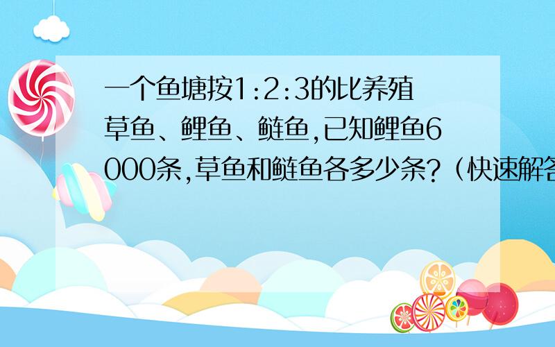 一个鱼塘按1:2:3的比养殖草鱼、鲤鱼、鲢鱼,已知鲤鱼6000条,草鱼和鲢鱼各多少条?（快速解答）小学六年级上册培优应用题卡37页