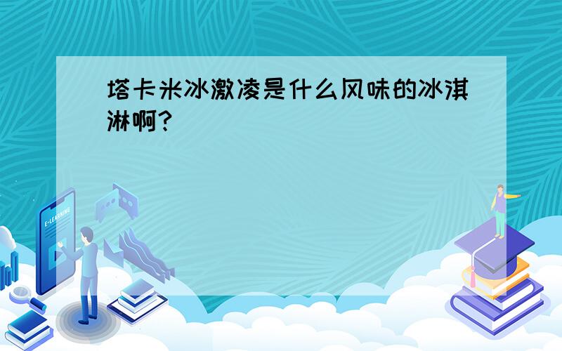 塔卡米冰激凌是什么风味的冰淇淋啊?