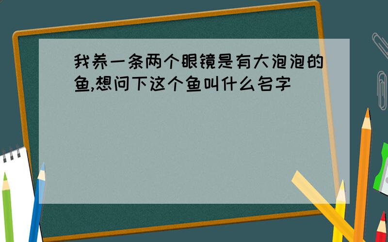 我养一条两个眼镜是有大泡泡的鱼,想问下这个鱼叫什么名字