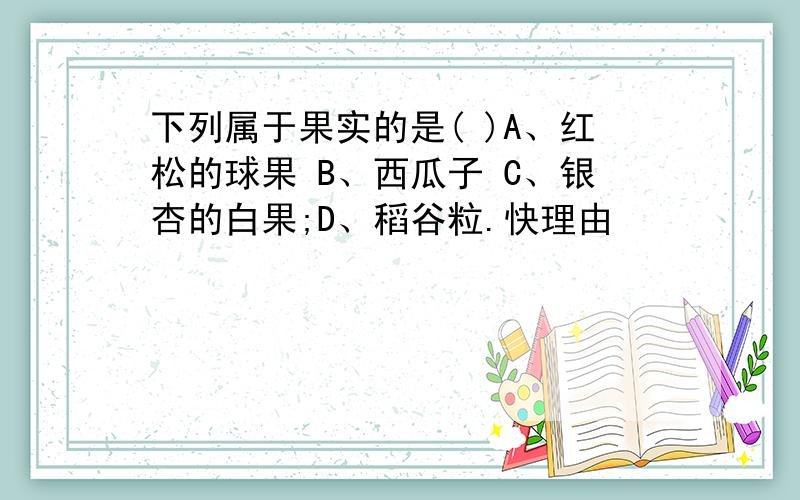 下列属于果实的是( )A、红松的球果 B、西瓜子 C、银杏的白果;D、稻谷粒.快理由