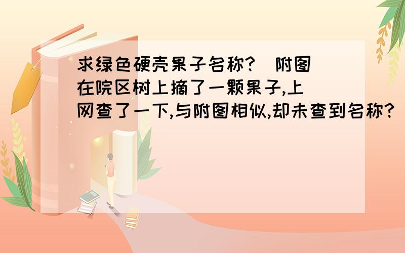 求绿色硬壳果子名称?（附图）在院区树上摘了一颗果子,上 网查了一下,与附图相似,却未查到名称?