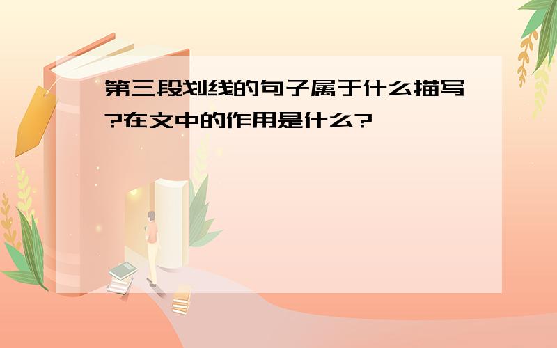 第三段划线的句子属于什么描写?在文中的作用是什么?