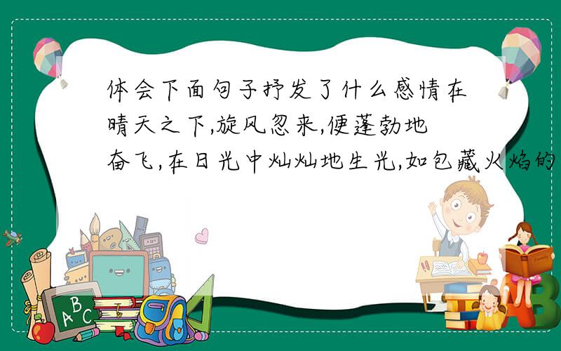 体会下面句子抒发了什么感情在晴天之下,旋风忽来,便蓬勃地奋飞,在日光中灿灿地生光,如包藏火焰的大雾,旋转而且升腾,弥漫太空,使太空旋转而且升腾地闪烁.