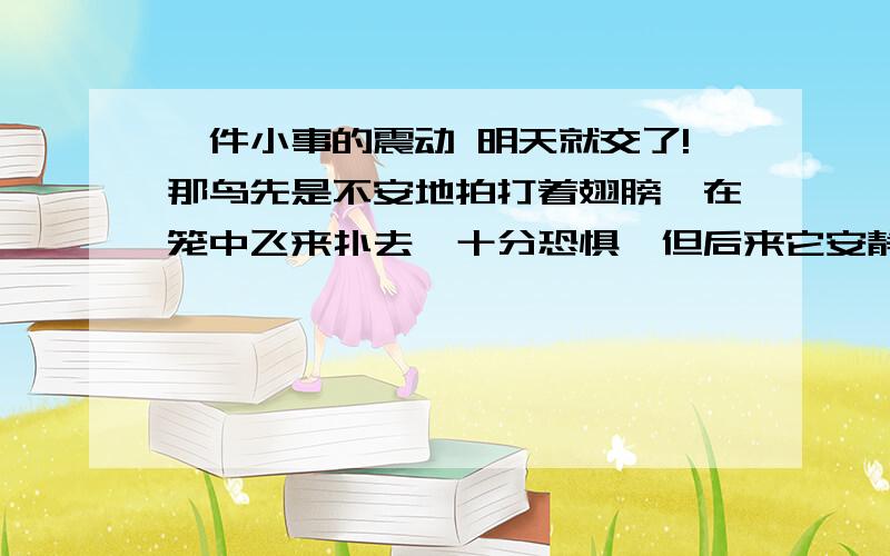 一件小事的震动 明天就交了!那鸟先是不安地拍打着翅膀,在笼中飞来扑去,十分恐惧,但后来它安静下来,承认了这个新家.站在笼子前,我听着小音乐家美妙的歌声,兴高采烈.突出了画眉鸟（）的