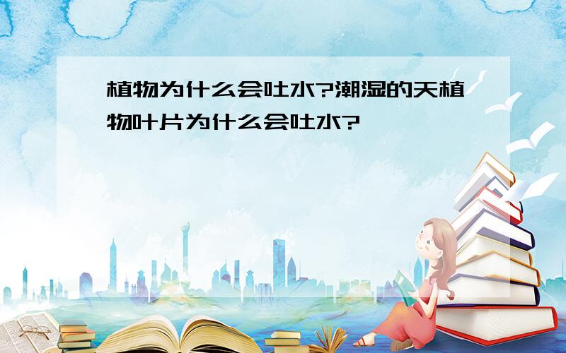 植物为什么会吐水?潮湿的天植物叶片为什么会吐水?