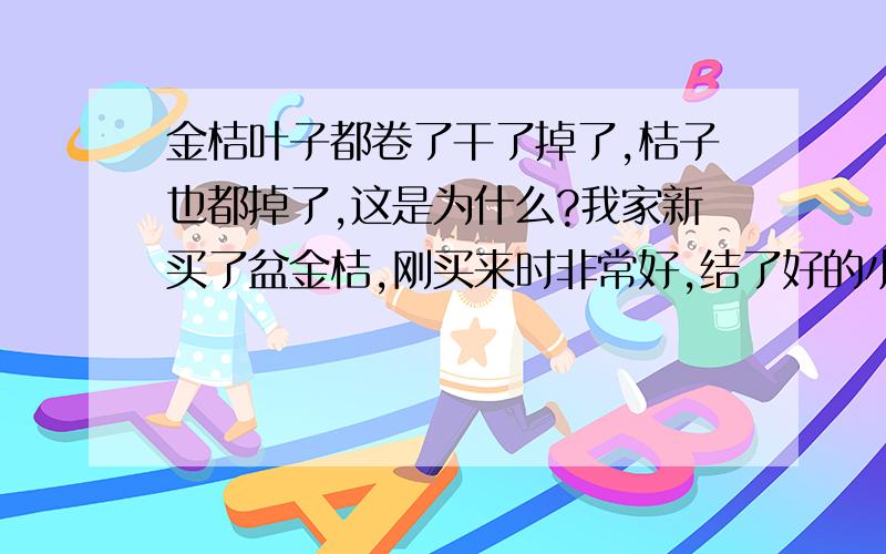 金桔叶子都卷了干了掉了,桔子也都掉了,这是为什么?我家新买了盆金桔,刚买来时非常好,结了好的小桔子,可到家没几天,叶子都卷了干了掉了,桔子也都掉了,