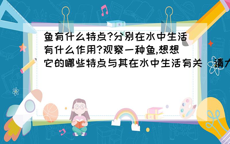 鱼有什么特点?分别在水中生活有什么作用?观察一种鱼,想想它的哪些特点与其在水中生活有关．请大家把所了解的告诉我,我一定好好感谢回答者．请告诉我6种特点和在水中生活的作用,十万