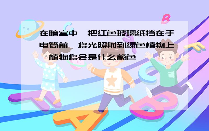 在暗室中,把红色玻璃纸挡在手电筒前,将光照射到绿色植物上,植物将会是什么颜色