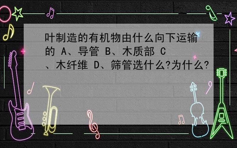 叶制造的有机物由什么向下运输的 A、导管 B、木质部 C、木纤维 D、筛管选什么?为什么?