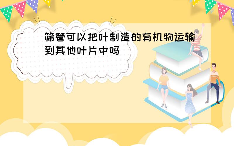 筛管可以把叶制造的有机物运输到其他叶片中吗