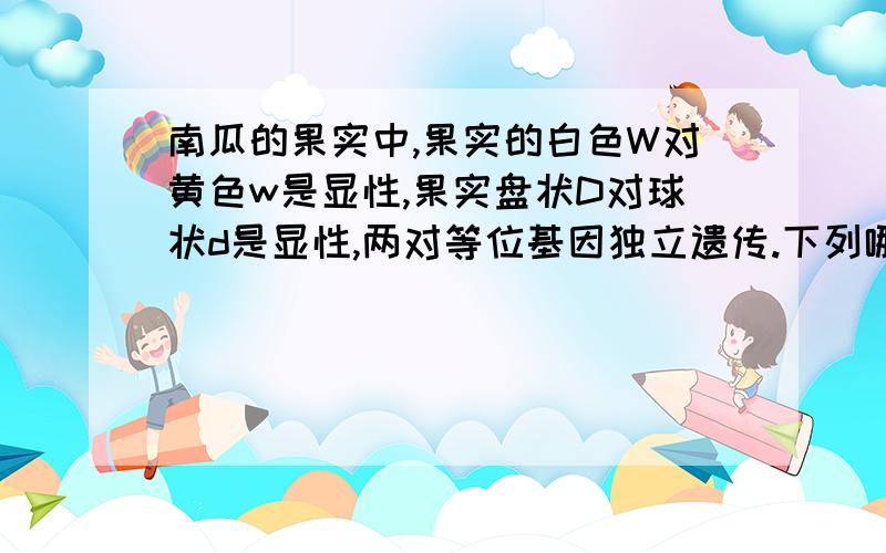 南瓜的果实中,果实的白色W对黄色w是显性,果实盘状D对球状d是显性,两对等位基因独立遗传.下列哪一组杂交后代中结白色球状果实最多A.WwDd x wwdd B.WWDd x WWdd C.WwDd x wwDD D.WwDd x WWDD