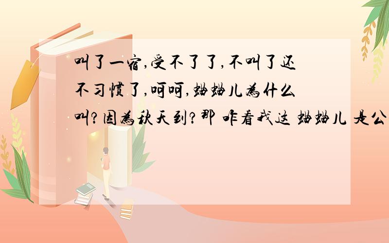 叫了一宿,受不了了,不叫了还不习惯了,呵呵,蛐蛐儿为什么叫?因为秋天到?那 咋看我这 蛐蛐儿 是公是母啊