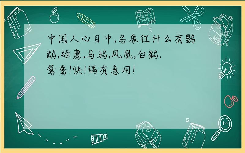 中国人心目中,鸟象征什么有鹦鹉,雄鹰,乌鸦,凤凰,白鹤,鸳鸯!快!偶有急用!