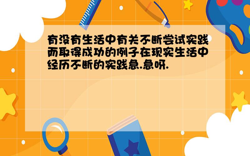 有没有生活中有关不断尝试实践而取得成功的例子在现实生活中经历不断的实践急.急呀.