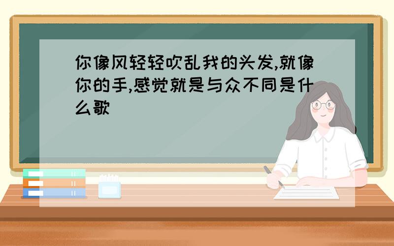 你像风轻轻吹乱我的头发,就像你的手,感觉就是与众不同是什么歌