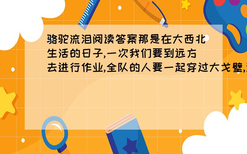 骆驼流泪阅读答案那是在大西北生活的日子,一次我们要到远方去进行作业,全队的人要一起穿过大戈壁,没有汽车,没有道路,把我们送到那里去的只有几十头骆驼．于是,就在一个隐晦的日子,一