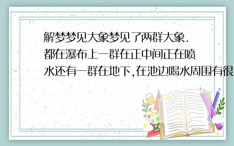 解梦梦见大象梦见了两群大象.都在瀑布上一群在正中间正在喷水还有一群在地下,在池边喝水周围有很多树,很漂亮