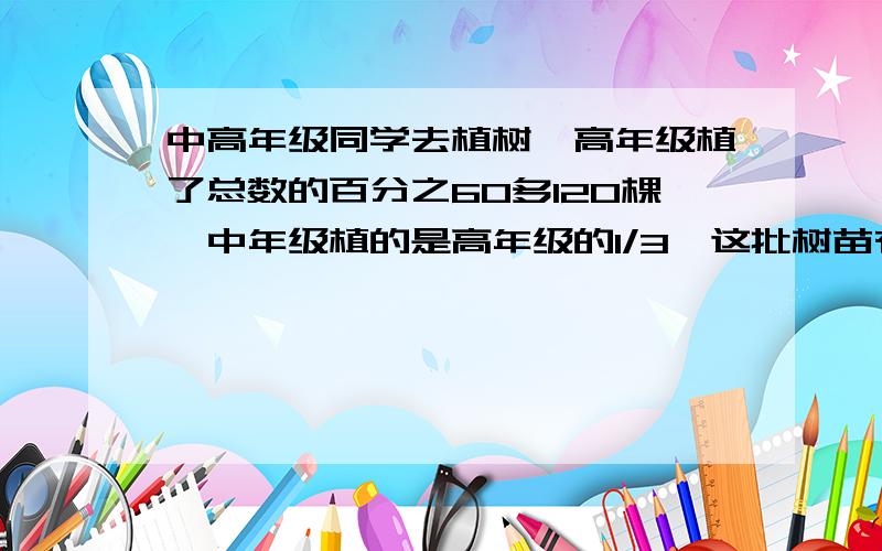 中高年级同学去植树,高年级植了总数的百分之60多120棵,中年级植的是高年级的1/3,这批树苗有几棵?在线等，快啊！