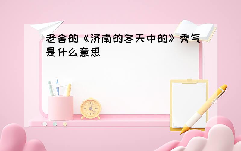 老舍的《济南的冬天中的》秀气是什么意思