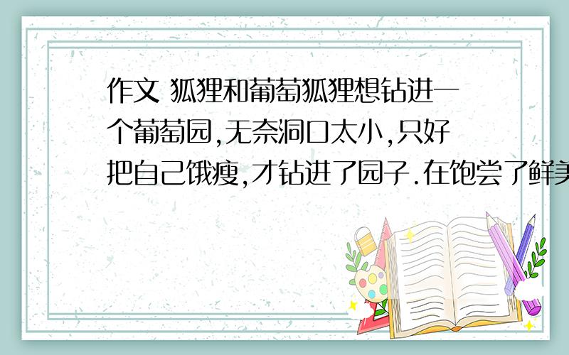 作文 狐狸和葡萄狐狸想钻进一个葡萄园,无奈洞口太小,只好把自己饿瘦,才钻进了园子.在饱尝了鲜美的葡萄后,却发现自己又胖得钻不出去了,只好再饿上几天,才得以离开.因而有人嘲笑狐狸,饿