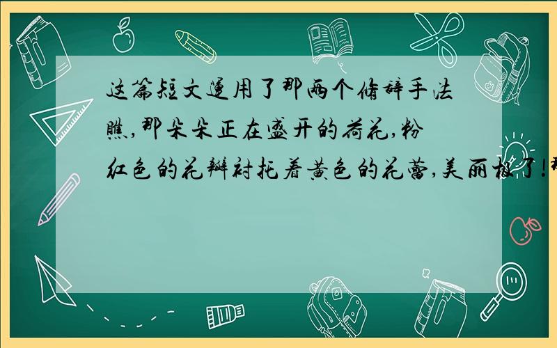 这篇短文运用了那两个修辞手法瞧,那朵朵正在盛开的荷花,粉红色的花瓣衬托着黄色的花蕾,美丽极了!那一朵朵荷花,有的像亭亭玉立的少女,有的像绽开的烟火.几只可爱的蜻蜓在荷花上方飞来