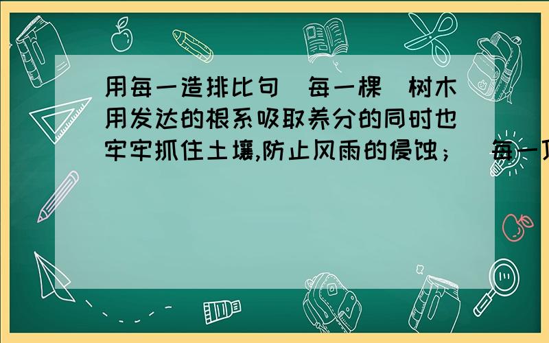 用每一造排比句（每一棵）树木用发达的根系吸取养分的同时也牢牢抓住土壤,防止风雨的侵蚀；（每一顶）枝丫密集的树冠能够阻拦雨水,让大雨变小,急雨变缓,削弱对土地的直接冲刺；（每