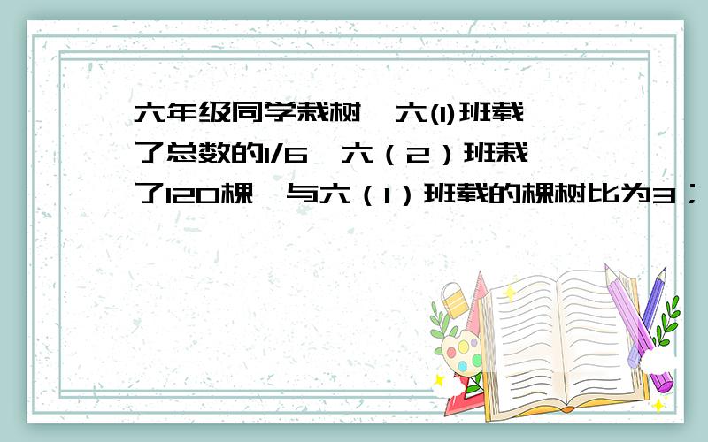 六年级同学栽树,六(1)班载了总数的1/6,六（2）班栽了120棵,与六（1）班载的棵树比为3；2,六年级同学一共栽树多少棵？