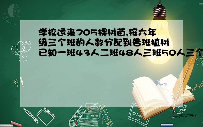 学校运来705棵树苗,按六年级三个班的人数分配到各班植树已知一班43人二班48人三班50人三个班应植树多少颗