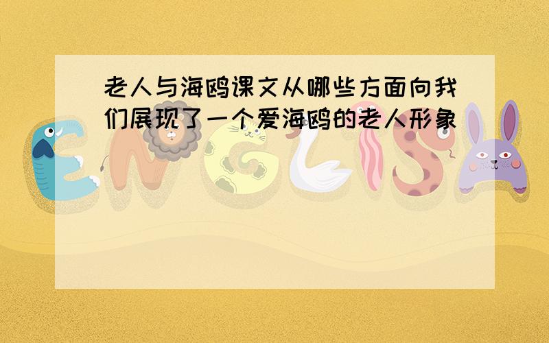 老人与海鸥课文从哪些方面向我们展现了一个爱海鸥的老人形象