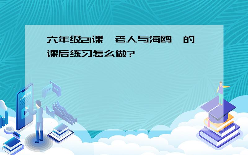 六年级21课《老人与海鸥》的课后练习怎么做?