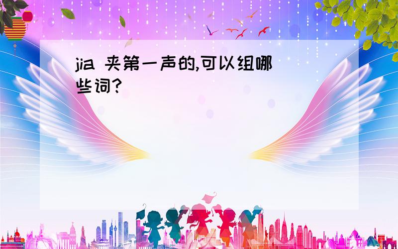 jia 夹第一声的,可以组哪些词?