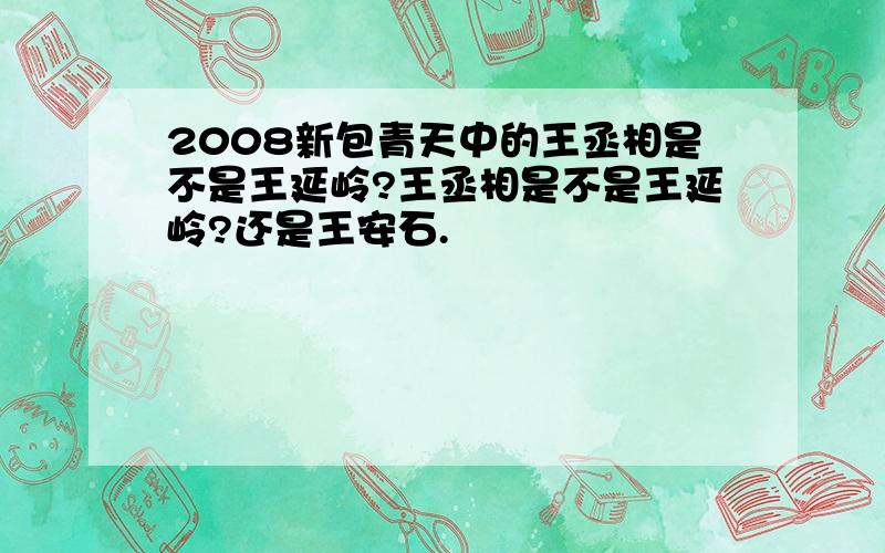 2008新包青天中的王丞相是不是王延岭?王丞相是不是王延岭?还是王安石.